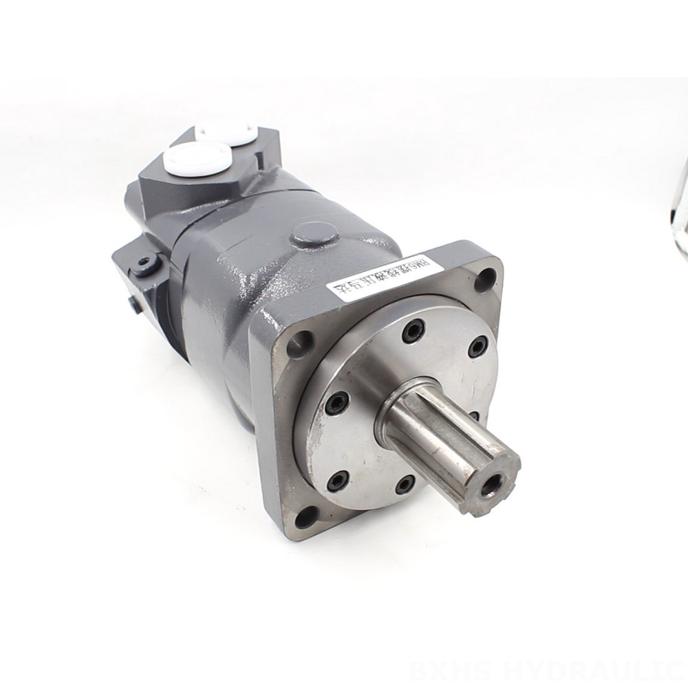 BM6 Cycloid Hydraulic Motor OEM/ODM Services: 195 cc/r, 150 Lpm image